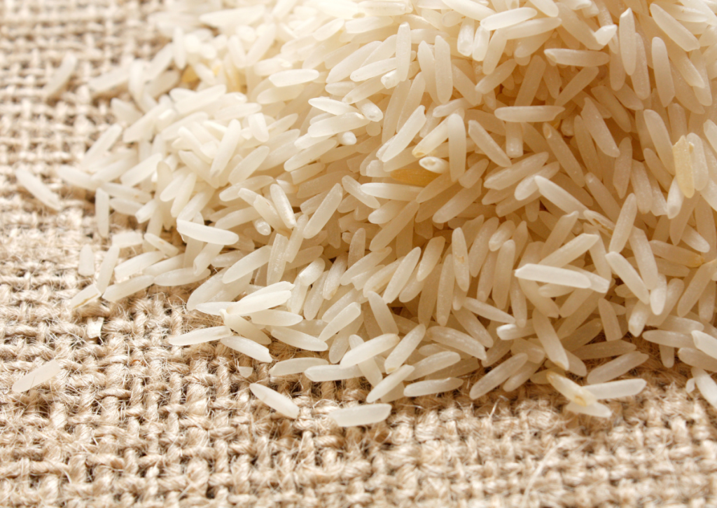 gao-thom-thai-lan-04